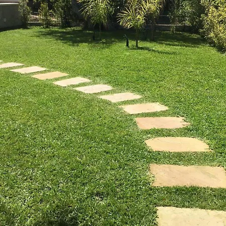 Casa Andrea 切法卢